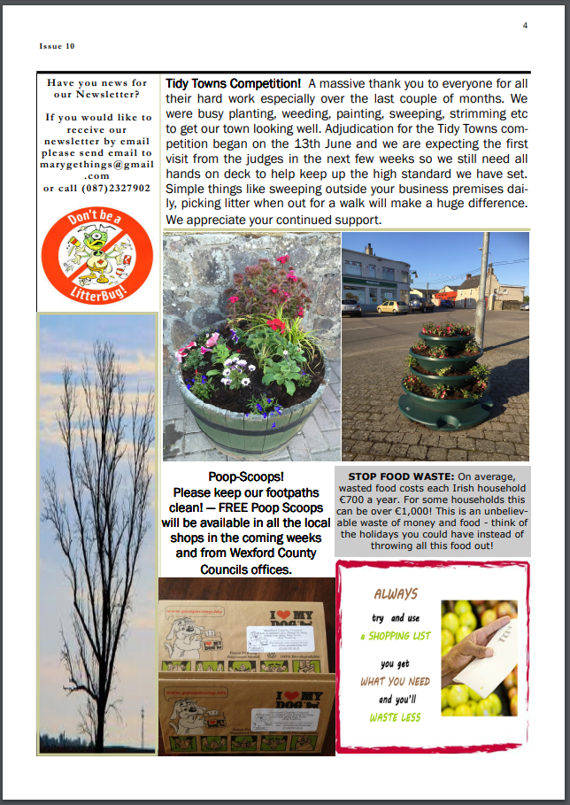 Ferns Tidy Towns, Newsletter June 2015_04